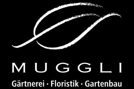 Muggli AG