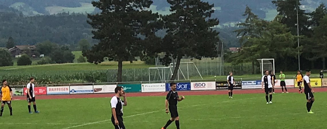 Stäfa verliert zweites Testspiel gegen das eine Liga höher spielende Wetzikon mit 2:1.