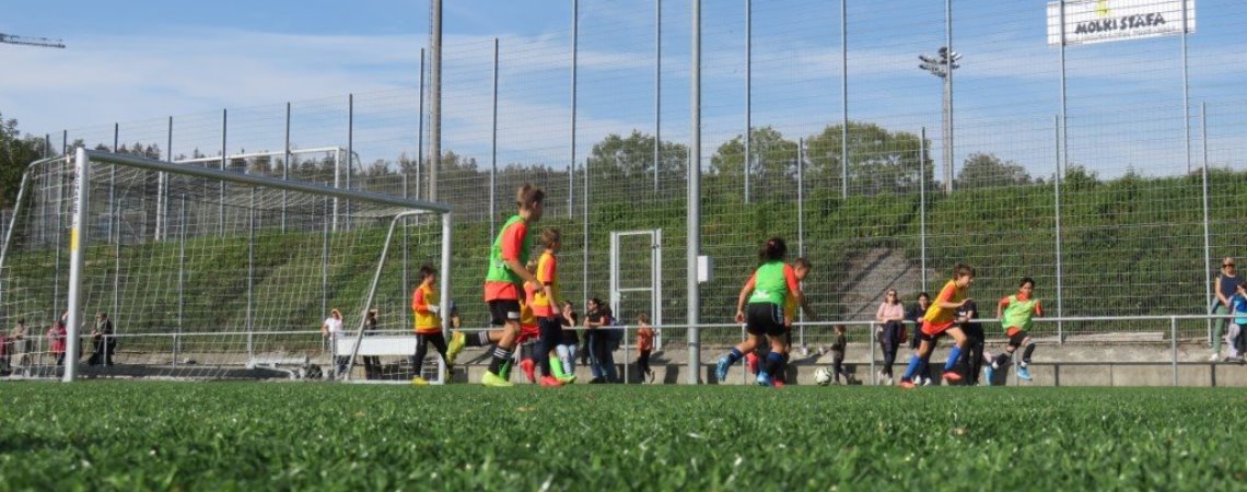 «Support your Sport» - Unterstütze den FC Stäfa mit deinem Einkauf!