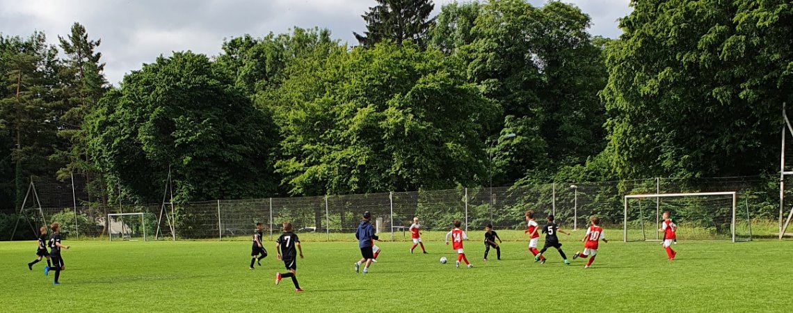 FC Stäfa Eb schliesst die Saison mit einem 1:20 Kantersieg in Witikon ab