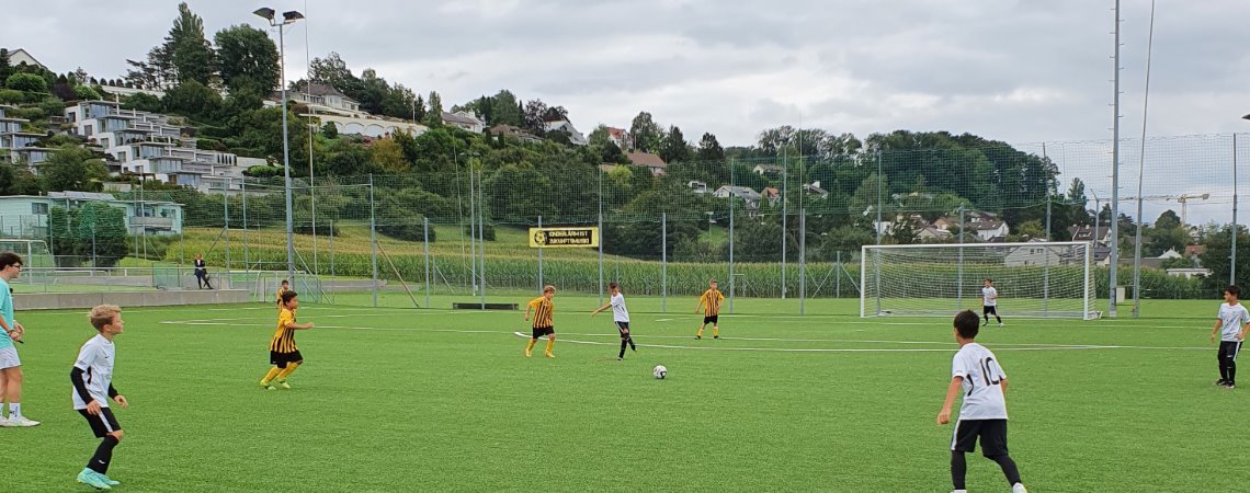 Kantersieg mit 2:13 für Stäfa Ea in Herrliberg