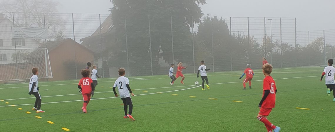 Die Stäfner Ea-Junioren gewinnen das Derby gegen Küsnacht a mit 11:5.